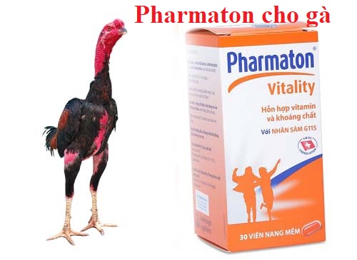 Pharmaton cho gà